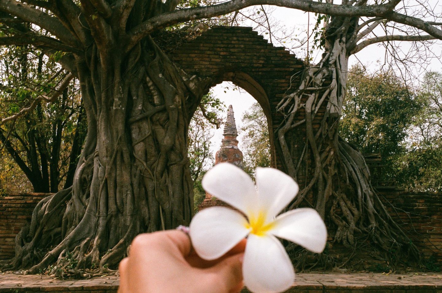 The gate of time at Wat Phra Ngam, Ayutthaya